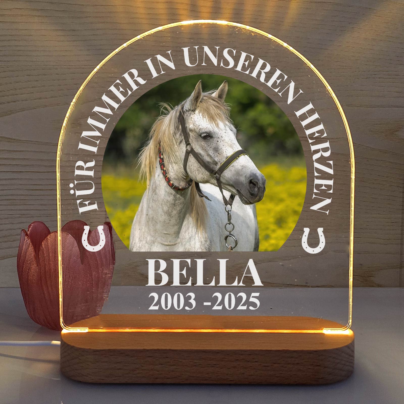 Für immer in unseren Herzen – LED-Lampe Pferd