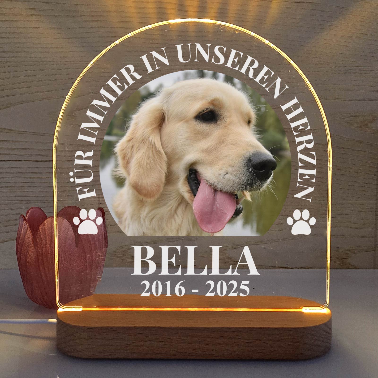 Für immer in unseren Herzen – LED-Lampe für Hund/Katze