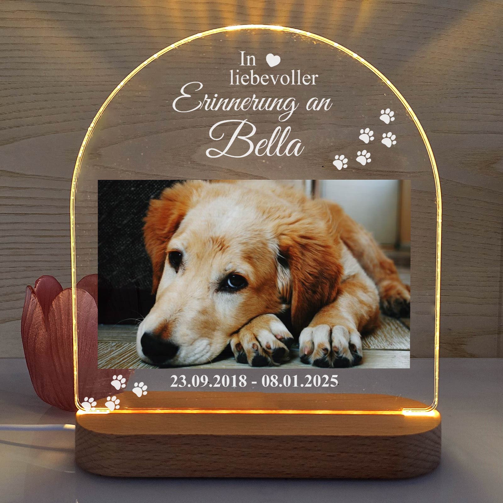Zur liebevollen Erinnerung – LED-Lampe für Hund/Katze