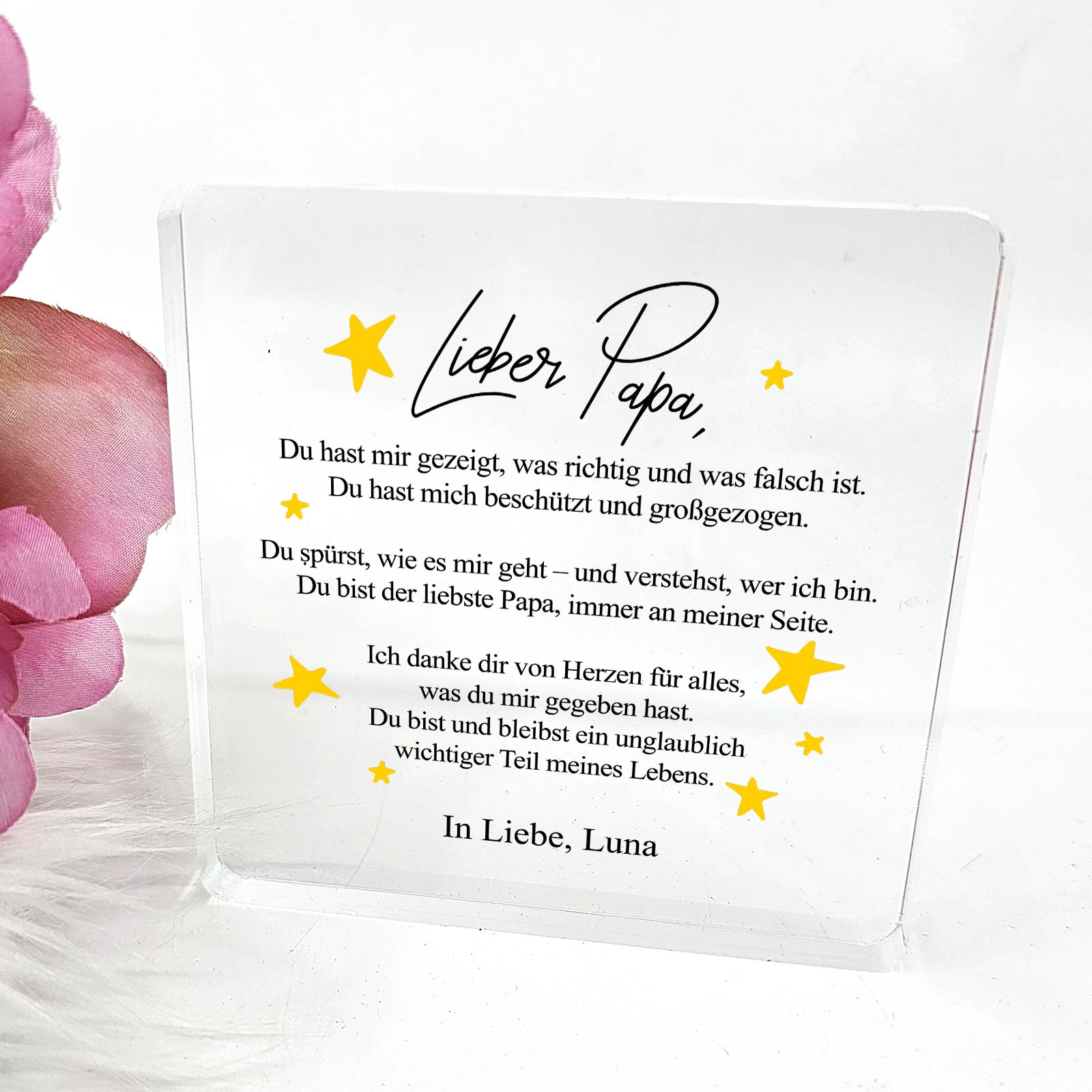 Du hast mir alles beigebracht – Plexiglas-Plakette für Papa