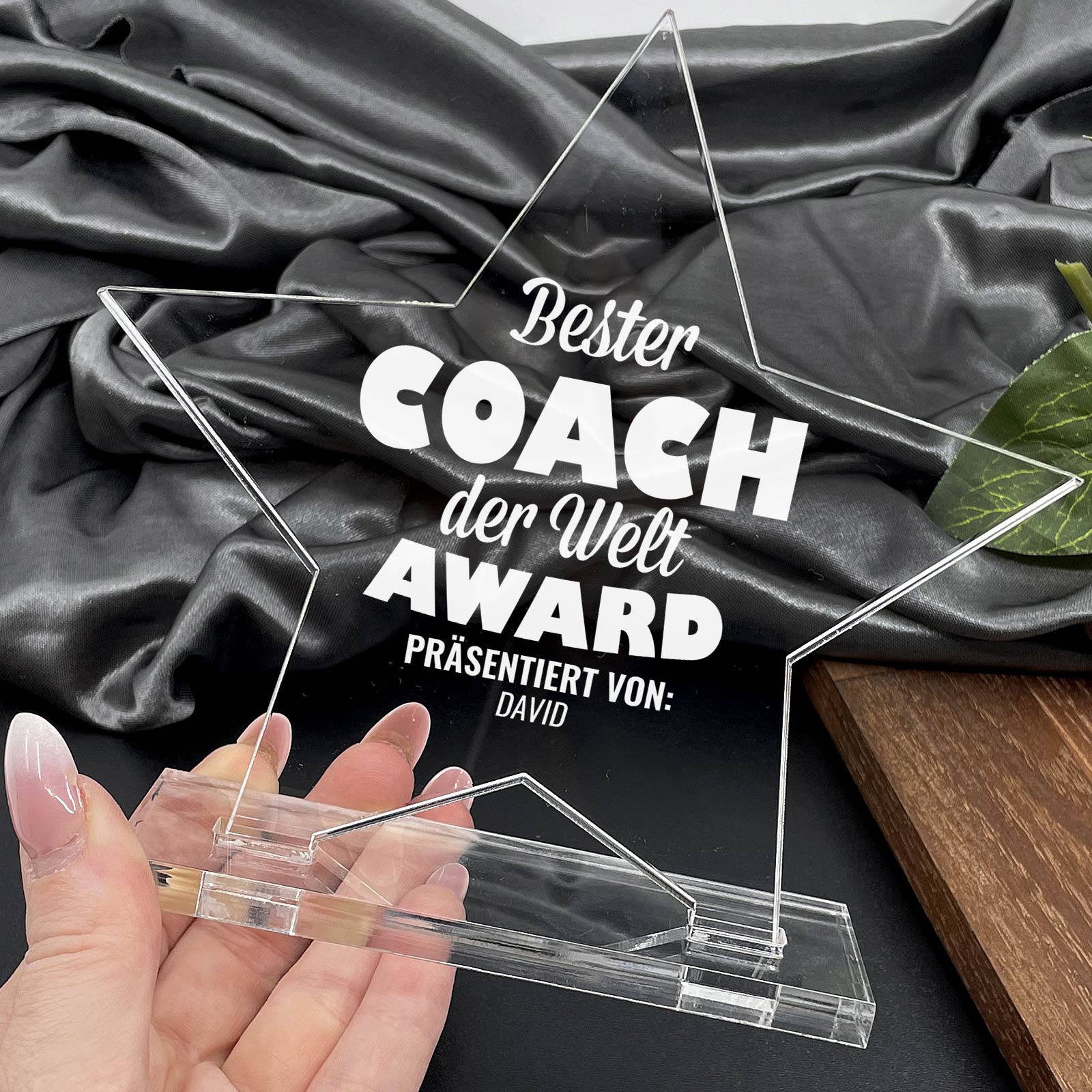 Auszeichnung für den besten Coach – Star Award