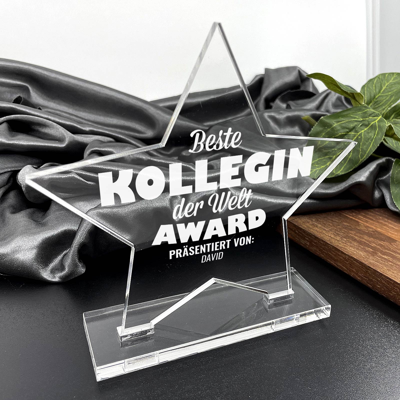 Bester Kollege / Beste Kollegin der Welt – Star Award