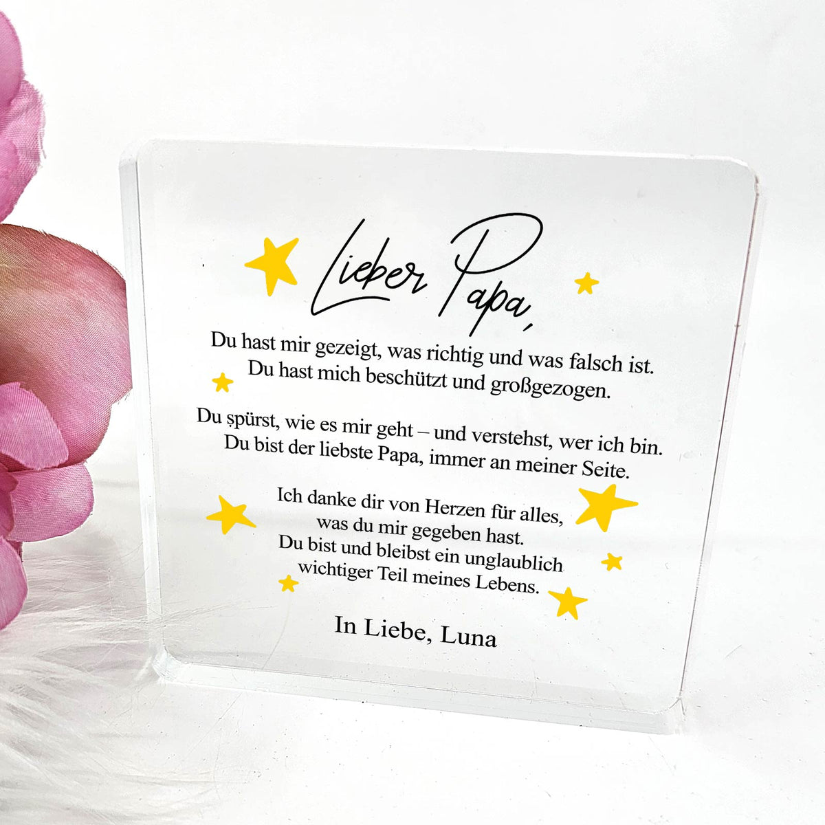 Du hast mir alles beigebracht – Plexiglas-Plakette für Papa