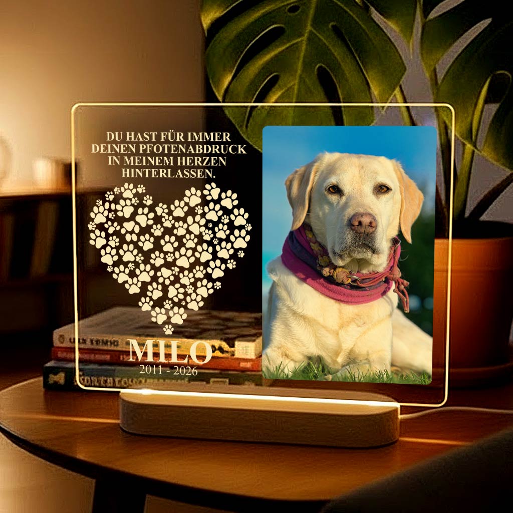 Fotolampe von deinem Hund oder deiner Katze