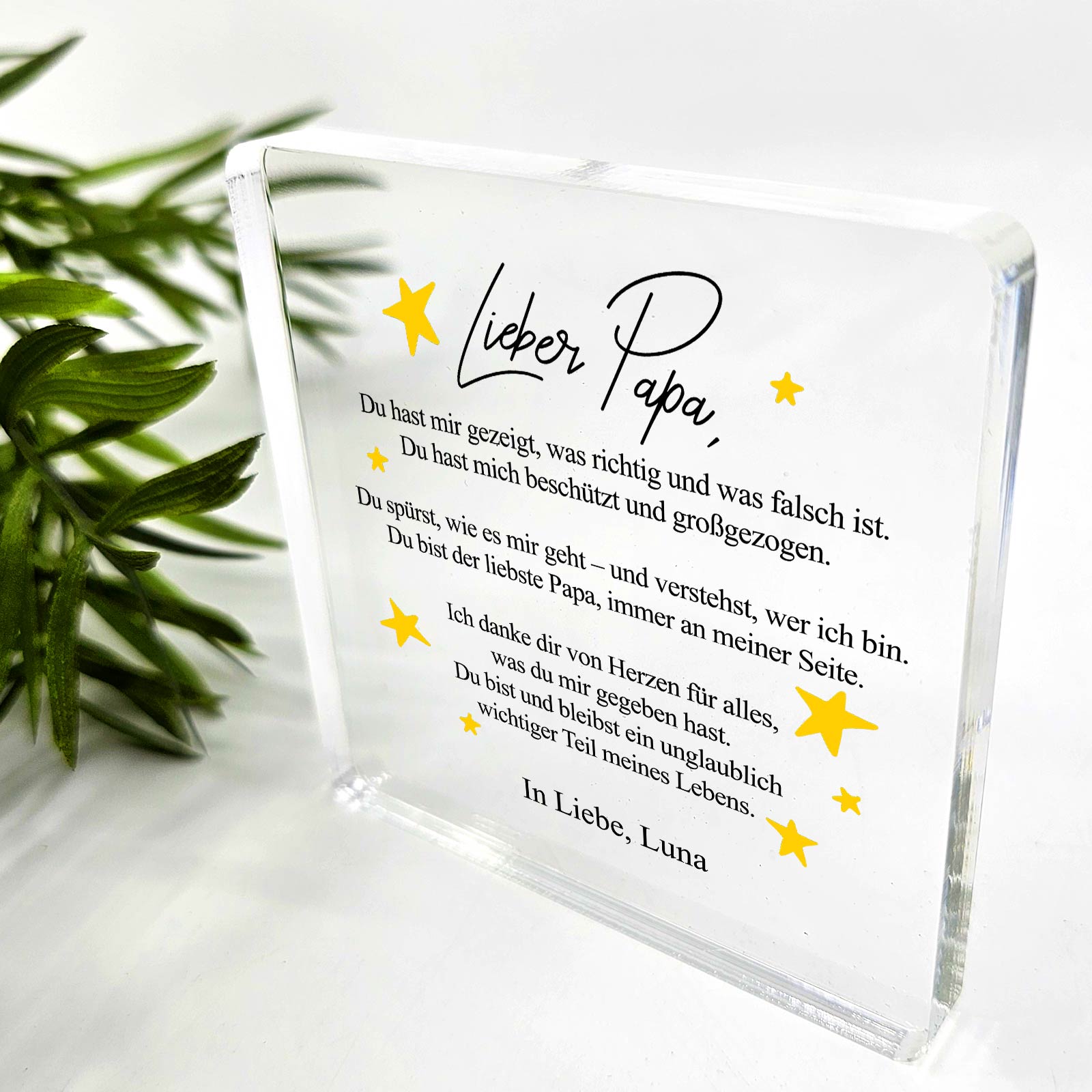 Du hast mir alles beigebracht – Plexiglas-Plakette für Papa