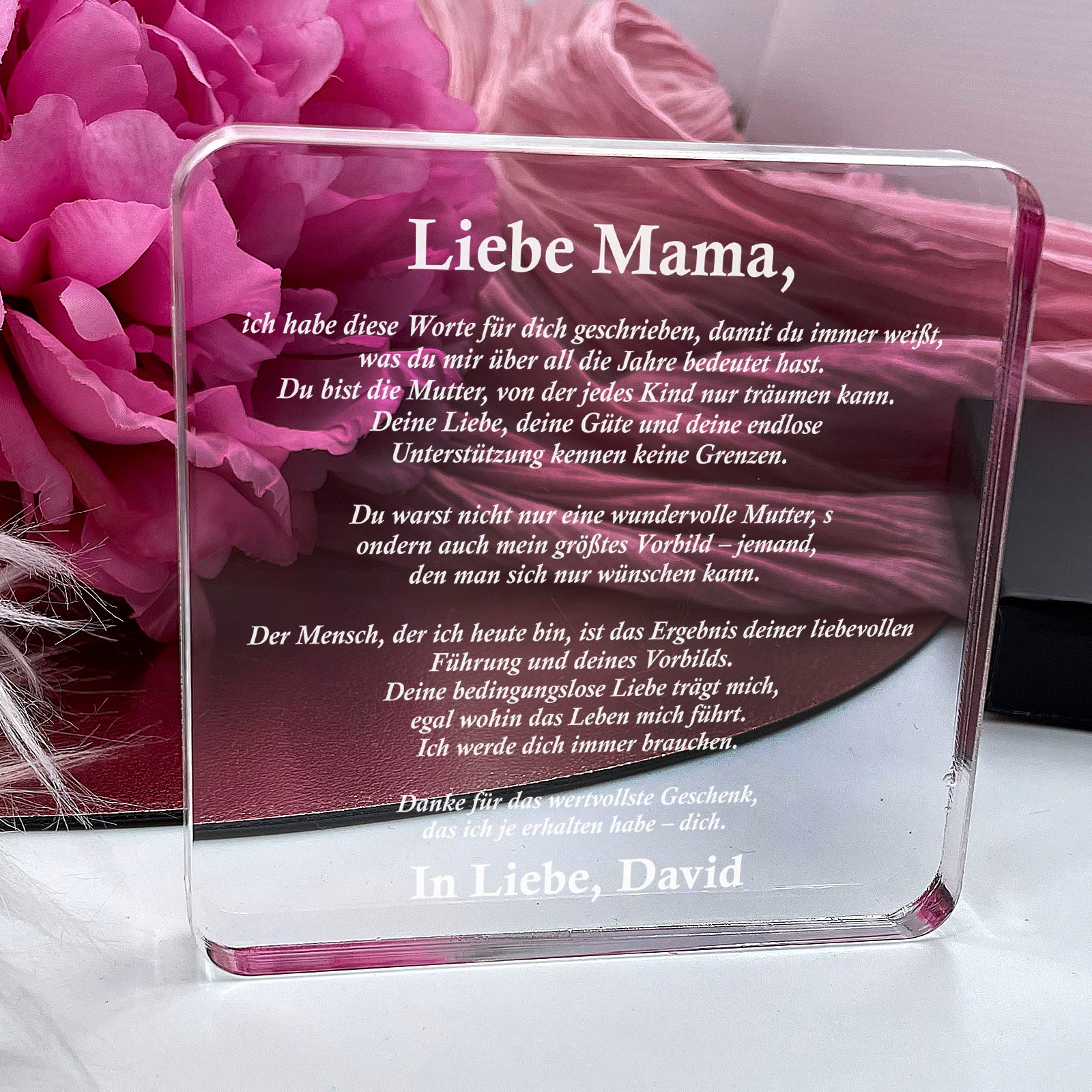 Ich habe das geschrieben, damit du es immer weißt – Plexiglas-Plakette