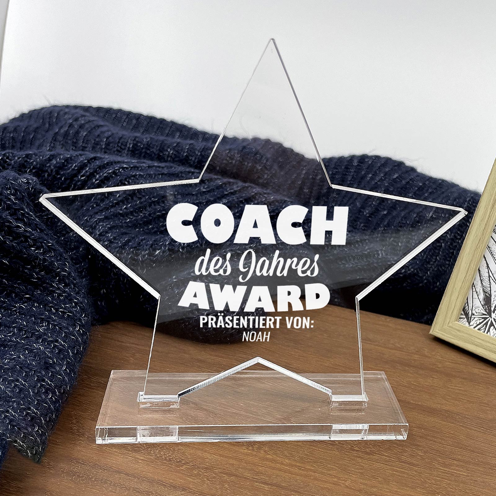 Auszeichnung für den besten Coach – Star Award